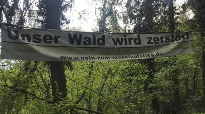 Im Wald zwischen Bäumen ist ein Banner gespannt, auf dem steht: Unser Wald wird zerstört - www.nein-zum-moselaufstieg.de