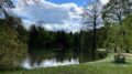 Auf dem Foto ist ein Teich im Trierer Nells Park zu sehen - mit begradigtem Ufer und einem Gehweg, der am Ufer entlang führt. Vorne im Bild ist ein Stück Wiese zu sehen und rundherum stehen Bäume und Büsche.